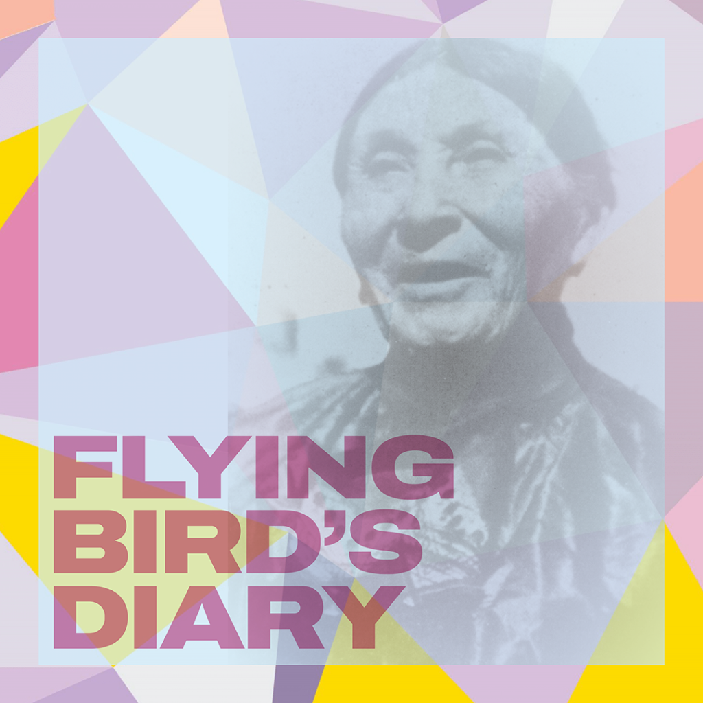 Flying Bird’s Diary