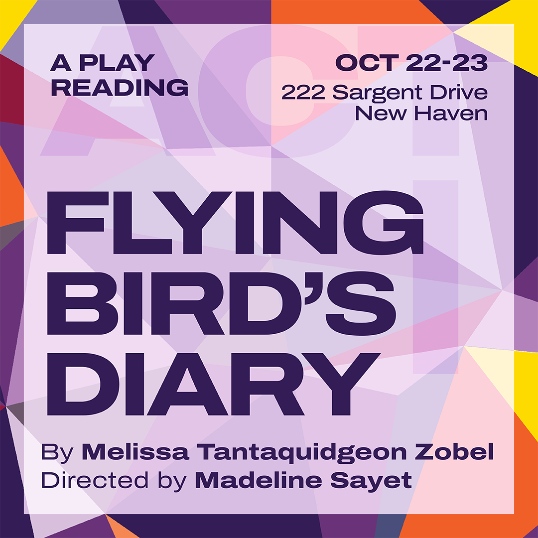 Flying Bird's Diary